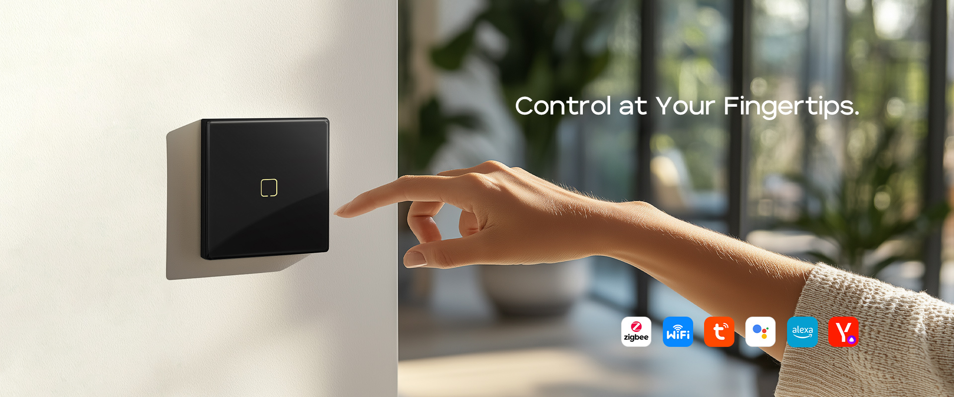 touch switch (2)